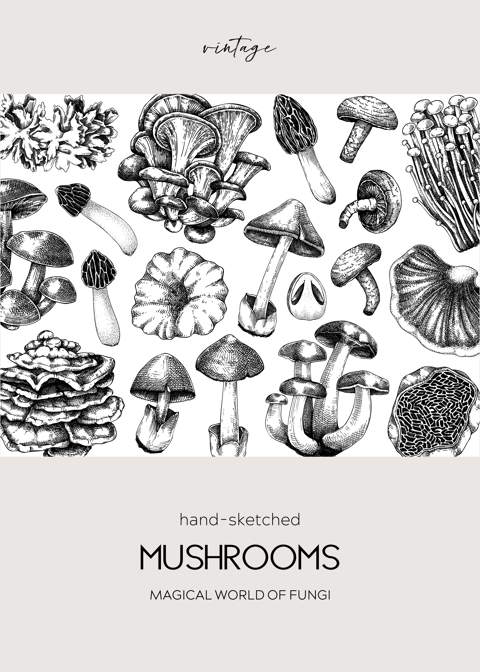 Autumn forest background. Woodland animals, fall leaves, ferns, mushrooms sketches. Fall nature backdrop. Hand-drawn vector illustration. Vintage botanical invitation or greeting card, frame design